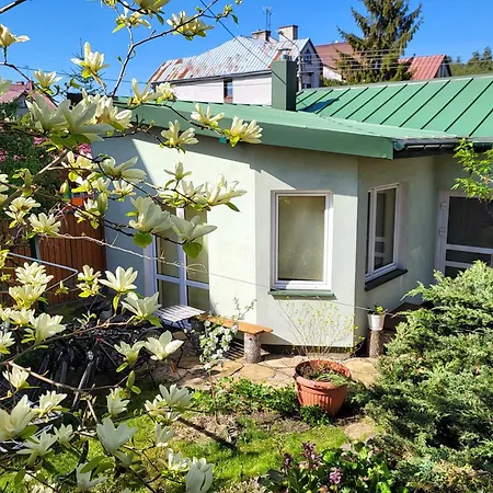 Domek Caloroczny U Haliny Augustow Exterior photo